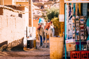 DeDécouvrez Marrakech : climat, températures et météo pour choisir la meilleure période a visiter